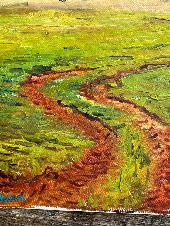 Dutch Meadow Path