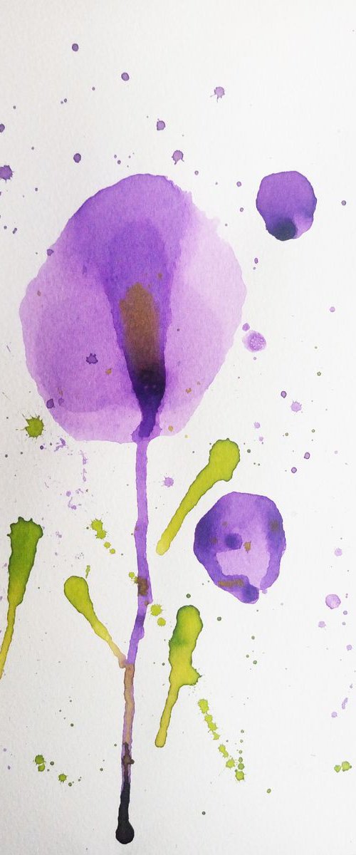Violet flower. by Mag Verkhovets