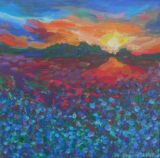 Sunset with a blue field