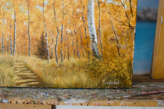 Autumn in Birch Forest