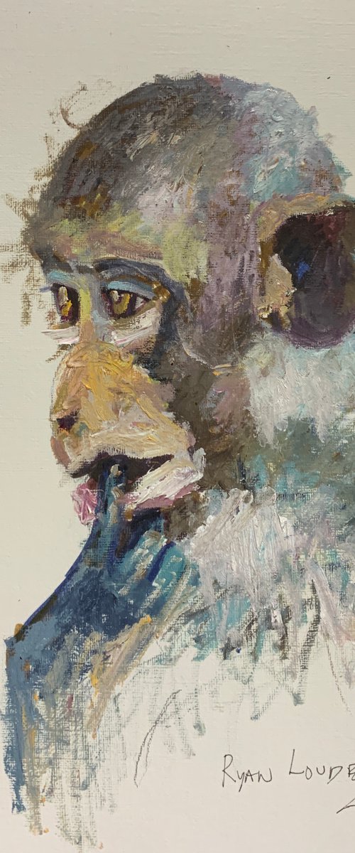 Monkey by Ryan  Louder