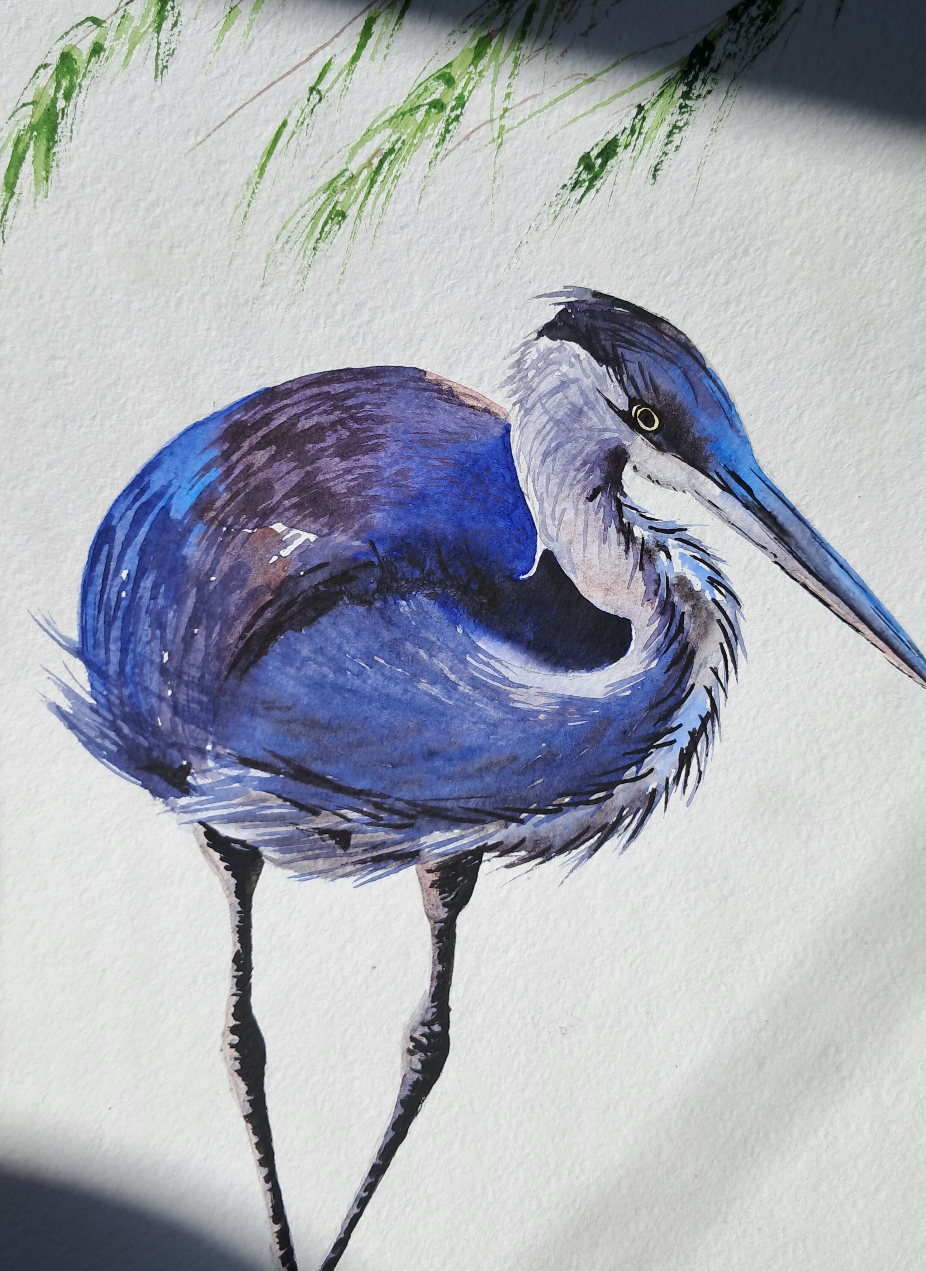 Animal Watercolour By Yuliia Sharapova, 9 X 18", Strok Gray, Original Artwork