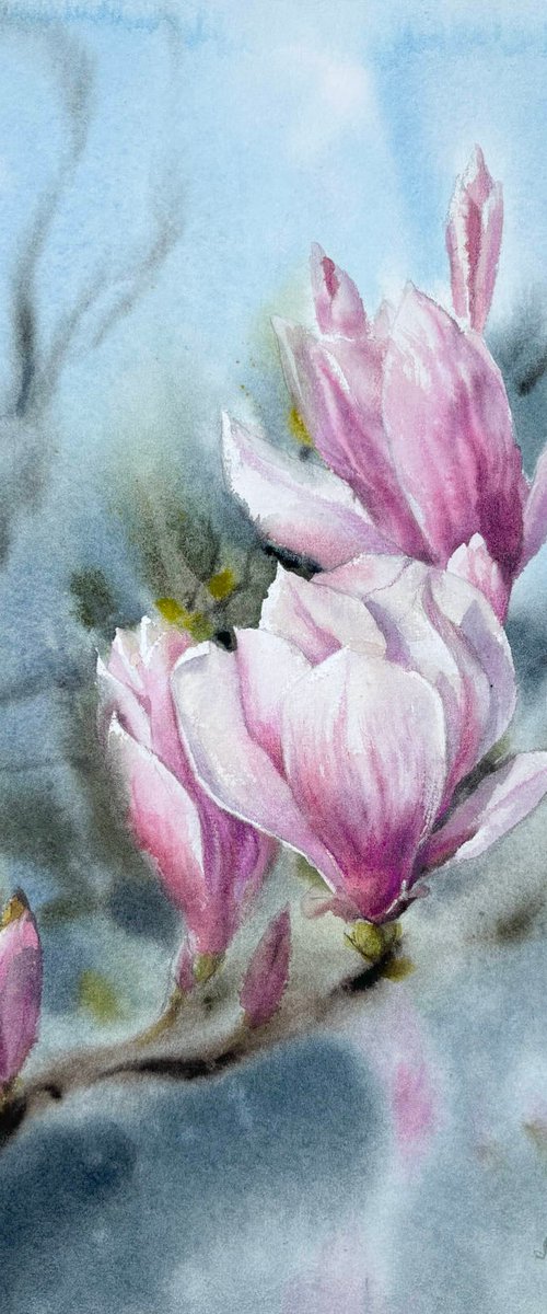 Magnolia Flowers by Svetlana Kilian