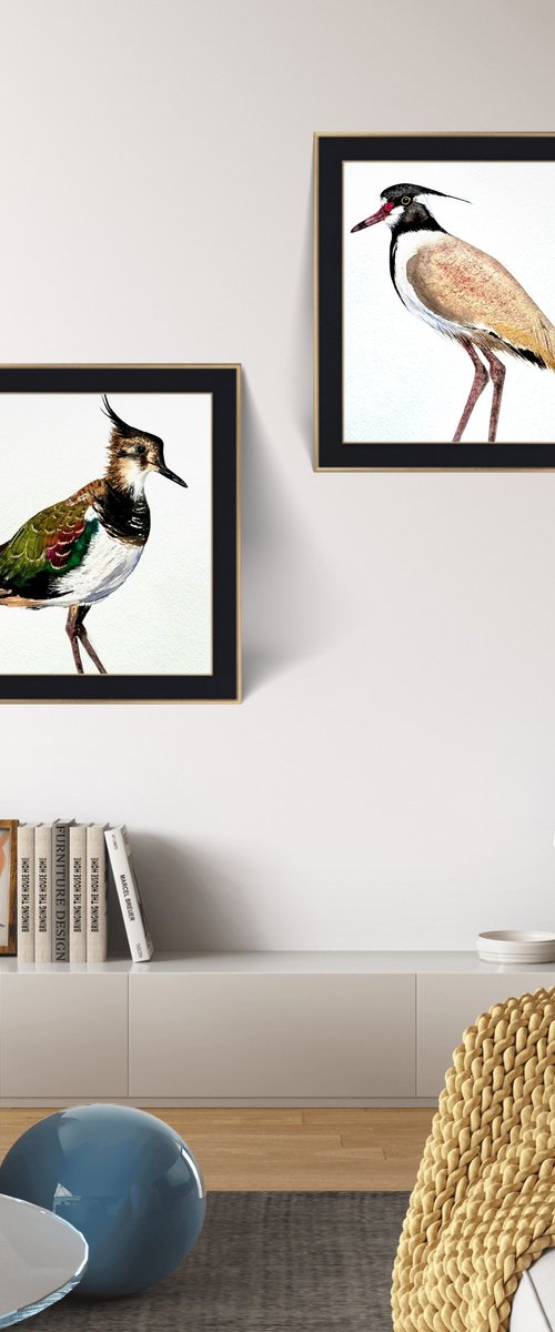 Twin birds Northern Lapwing by Yuliia Sharapova