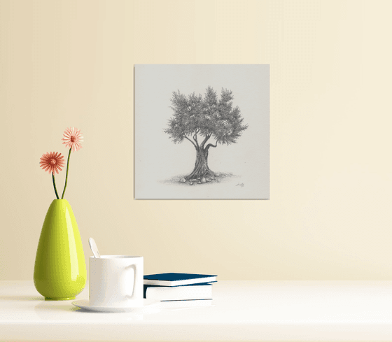 Olive tree II