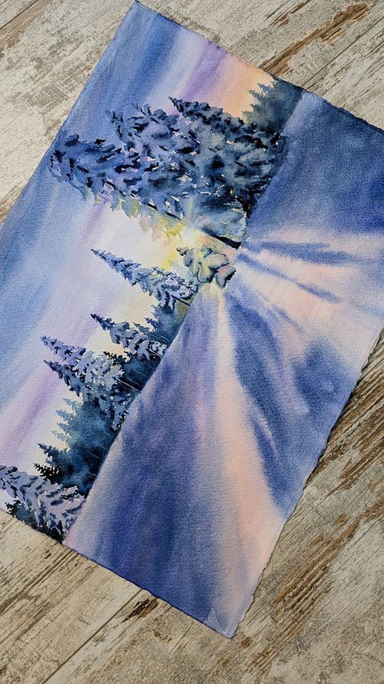 Winter Forest in Gentle Sunlight