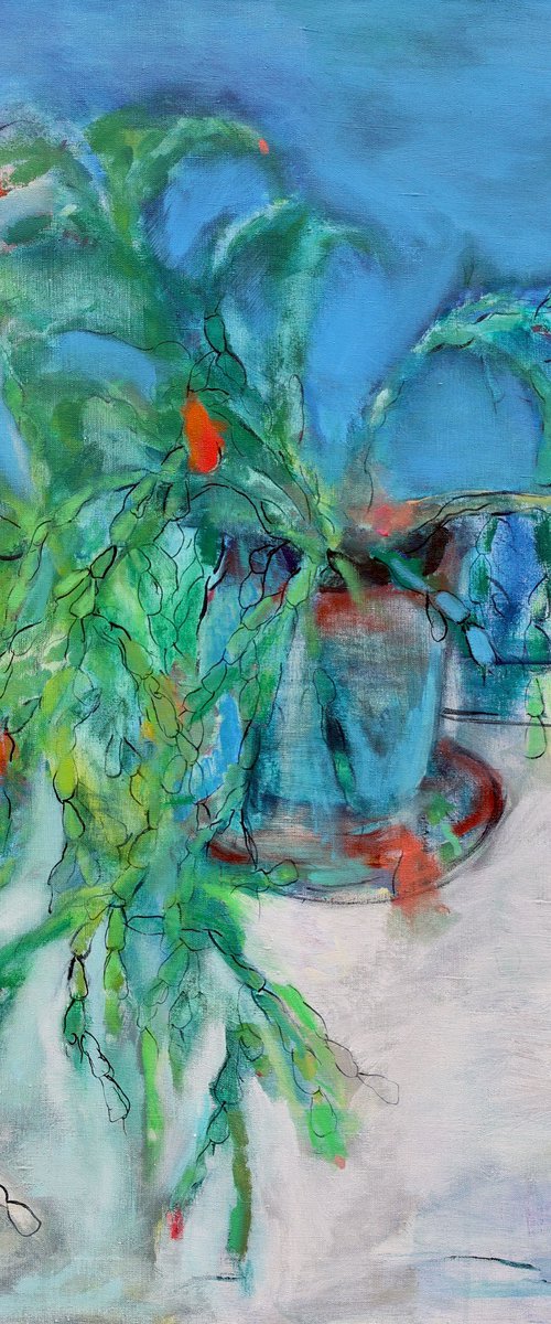 Schlumbergera. Christmas Cactus by Artem Andreichuk