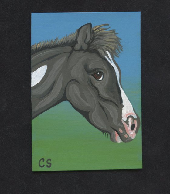 ACEO ATC Original Miniature Painting Painted Pony Horse Equine Farmyard Art-Carla Smale