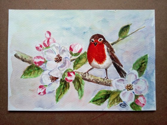 Robin Bird and Apple Blossom