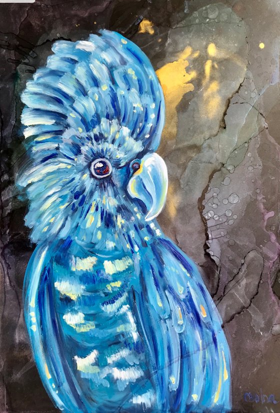 Blue parrot