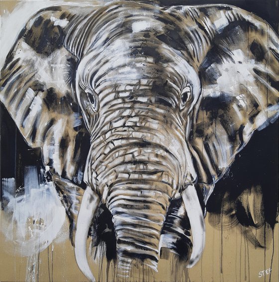 ELEPHANT #14 - Series 'One of the big five'