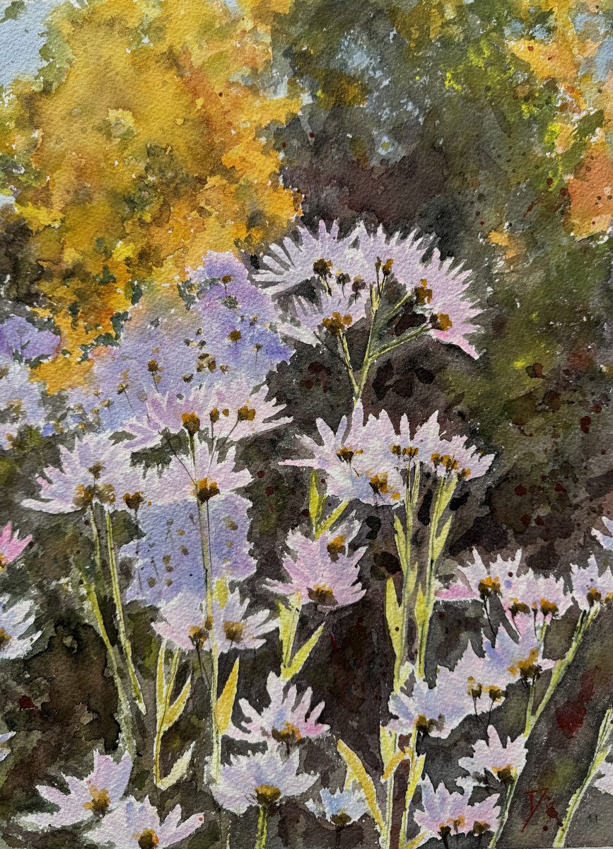 Impressionistic Botanical Watercolour By Shelly Du, 11 X 15", Autumn Asters, Original Artwork