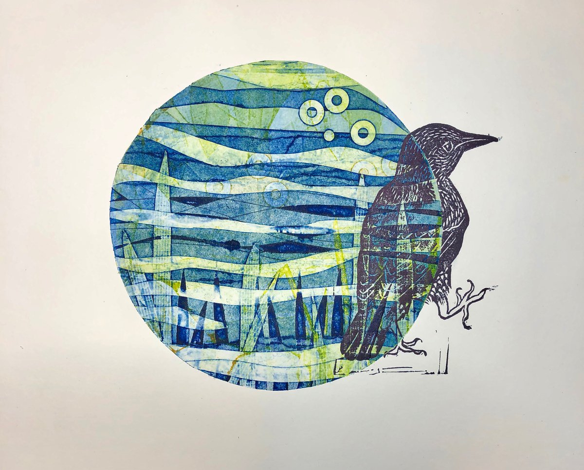 A Starling
