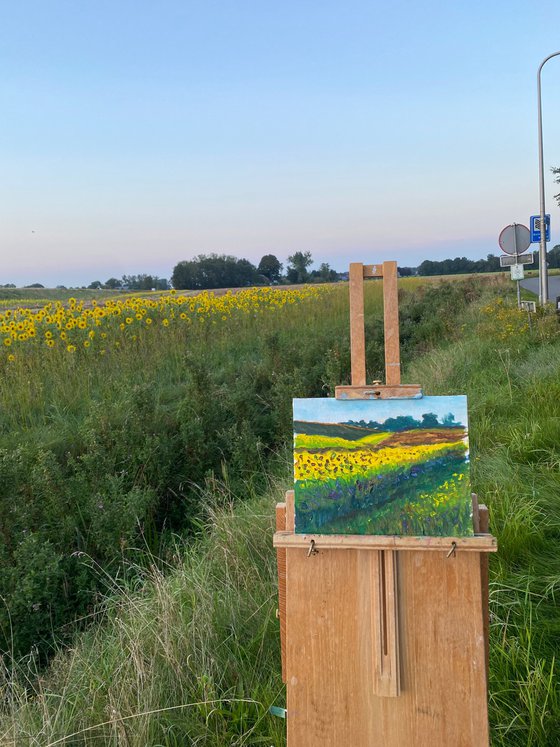 Sunflowers field. Plein air