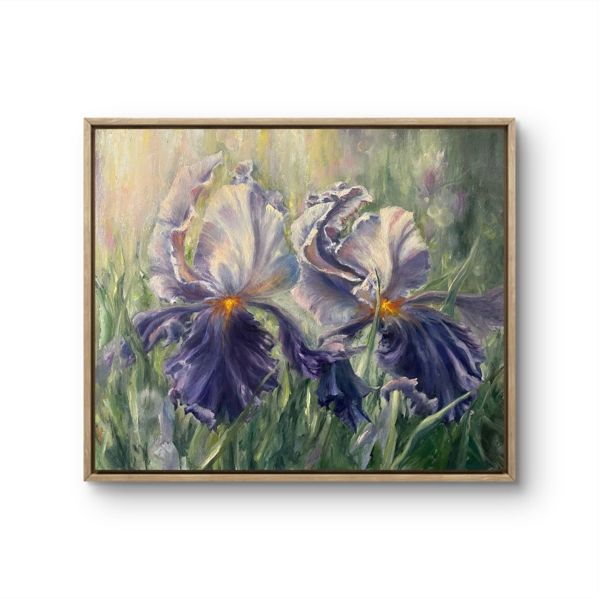 Impressionistic Botanical Oil Painting By Alesia Yeremeyeva, 24 X 20, Morning Irises, Original Artwork