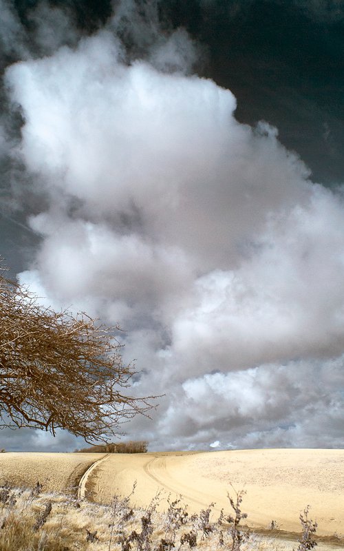 Above Coombes Farm by Ed Watts