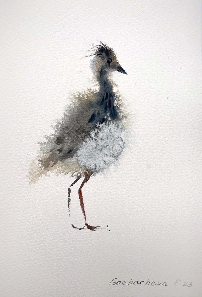 Lapwing #2 by Eugenia Gorbacheva