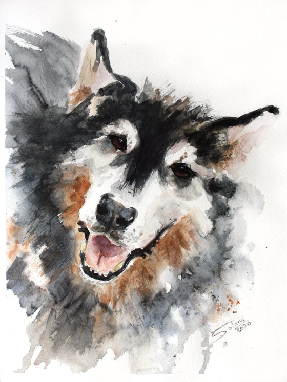 Dog... - Pet portrait /  ORIGINAL PAINTING