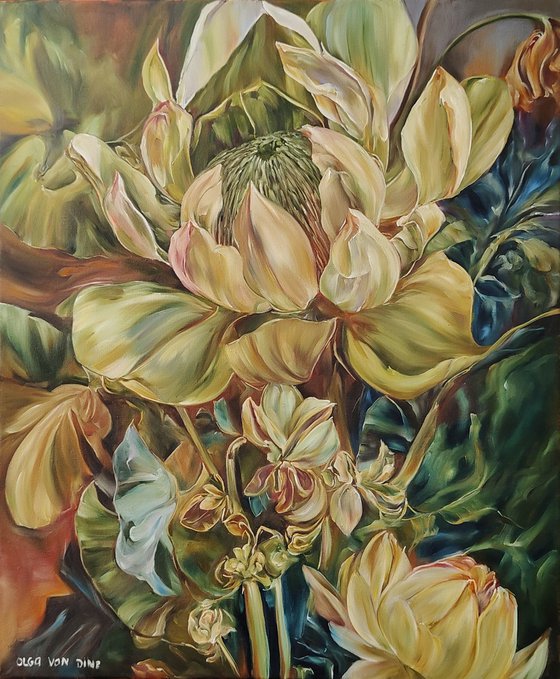 African protea