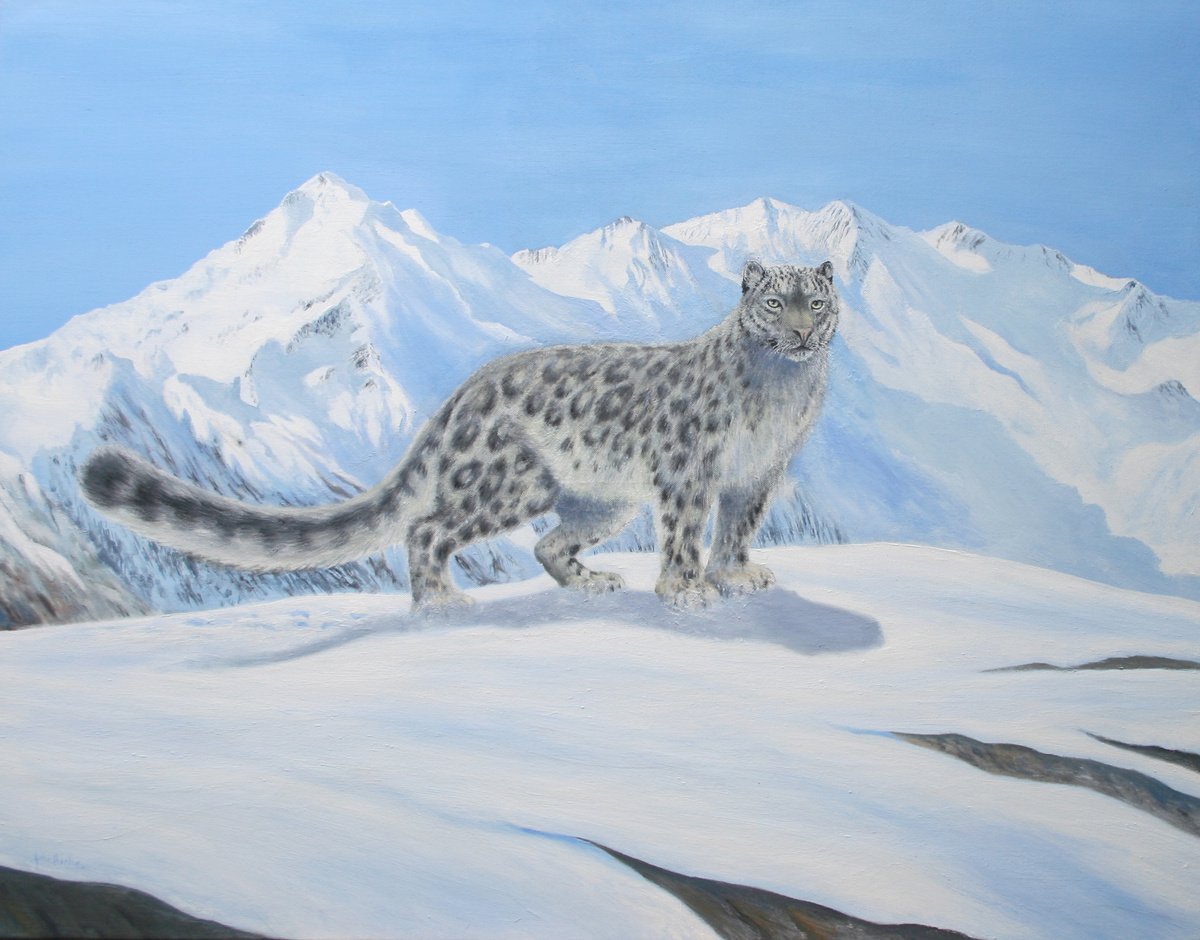 Snow Leopard by John Horton