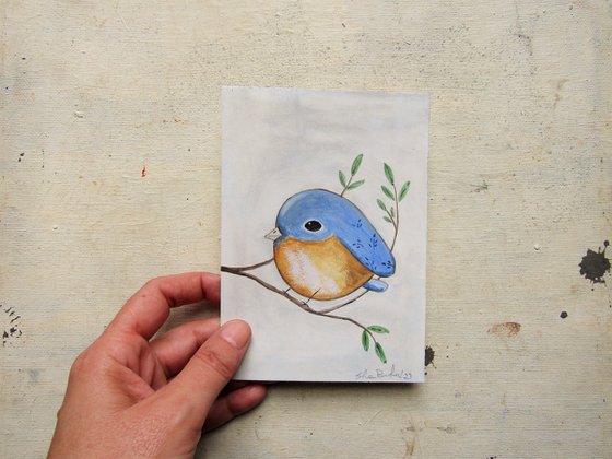 The tiny eastern bluebird (Sialia sialis)