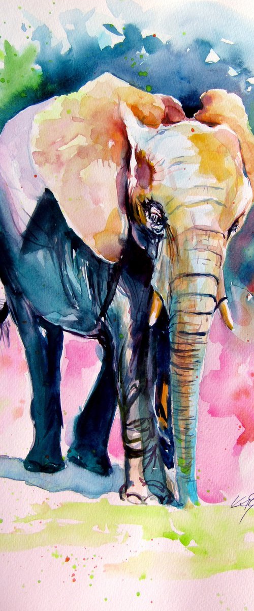Elephant alone by Kovács Anna Brigitta