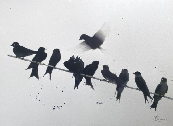 Swallows on a Wire