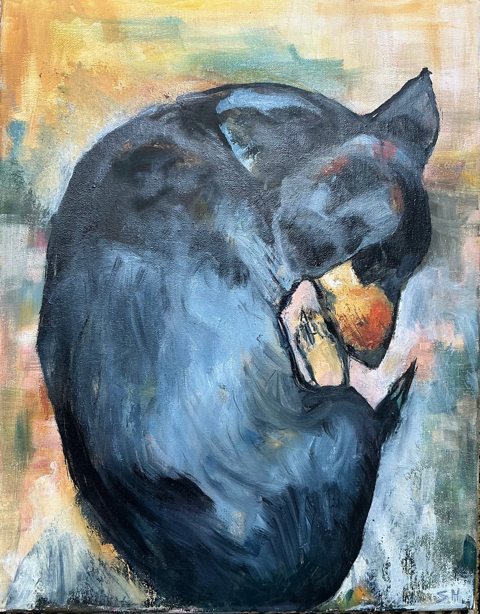 Sleeping Dachshund By Sandra Haney, 14 X 18, Artwork For Sale On Artfinder