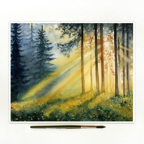 Sunlight in the forest