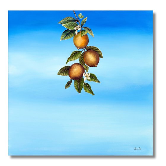 O Limoeiro (The Lemon Tree)