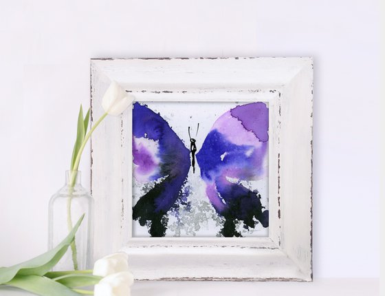 Butterfly Zen Collection 1