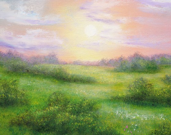 Wildflowers meadow
