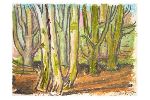 Birch Trees 03 by Samuel Buttner