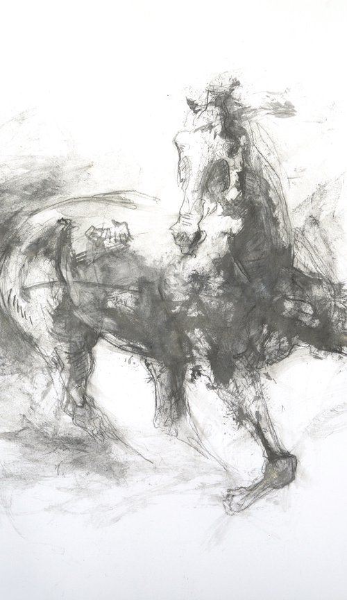 Equine Nude 11p by Benedicte Gele