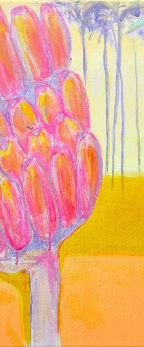 Pink Banana Sunset Study by Kathryn Sillince