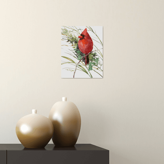 Cardinal Bird