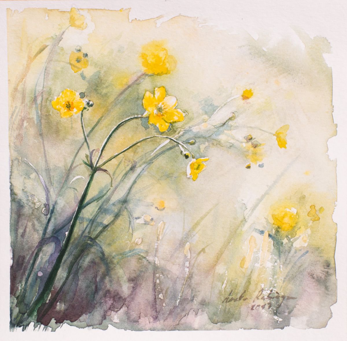 field flowers by Aneta Kamraj - Rabiega