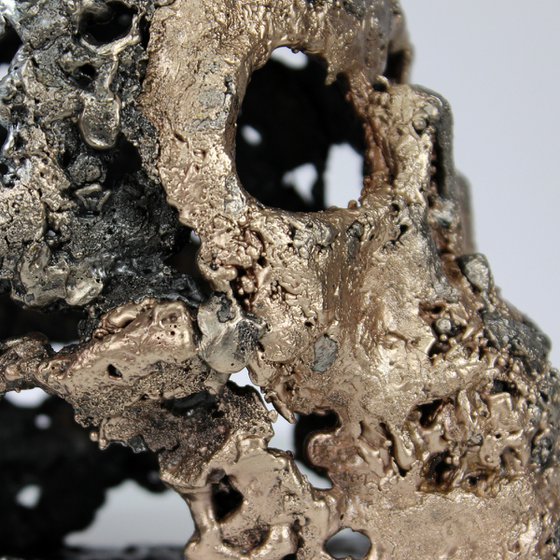 Skull CXXI - Metal skull artwork Steel Bronze and Chrome