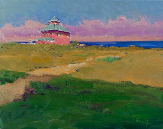 Pink House on the Beach