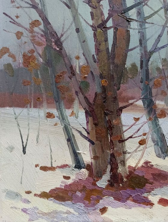 Winter landscape