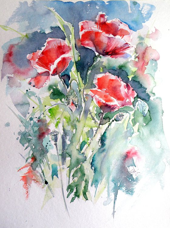 Poppies