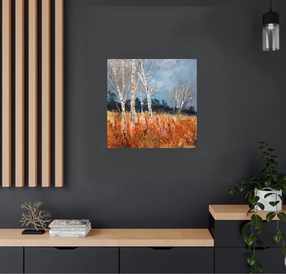 Aspen trees in autumn