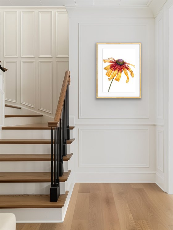 Greetings to the sun