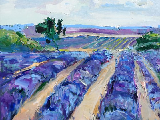 "  lavender "
