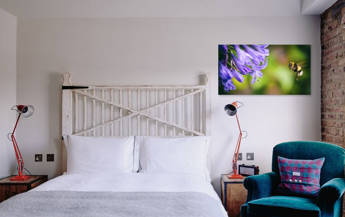 Organic Animal Photograph By Marc Ehrenbold, 40 X 30", Bee Violet, Original Artwork