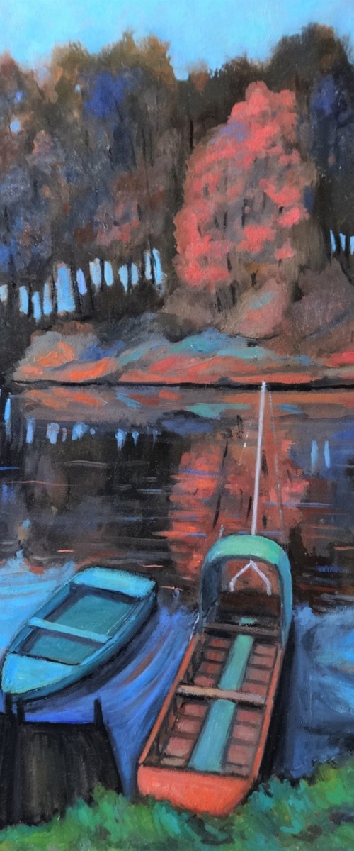 Boats in a pond by Massimiliano Ligabue