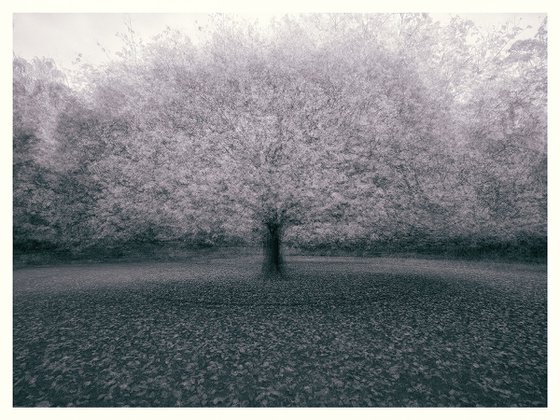 Arboreal