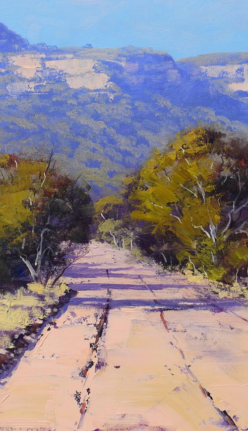 Road Through the Capertee Valley NSW by Graham Gercken