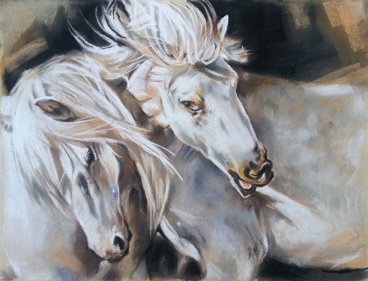 White horses by Magdalena Palega