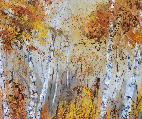 Aspen trees 5624